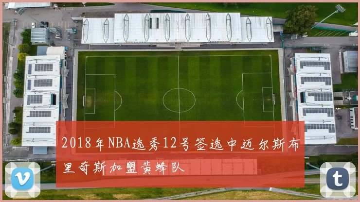 2018年NBA选秀12号签选中迈尔斯布里奇斯加盟黄蜂队