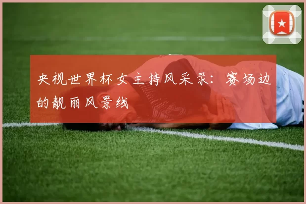 央视世界杯女主持风采录：赛场边的靓丽风景线