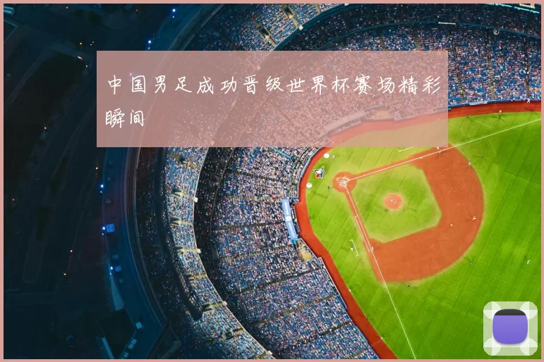 中国男足成功晋级世界杯赛场精彩瞬间