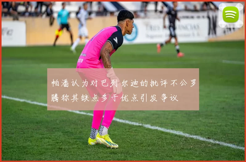 帕潘认为对巴列尔迪的批评不公罗腾称其缺点多于优点引发争议