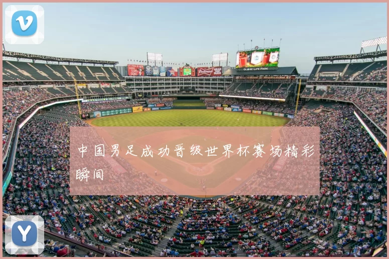 中国男足成功晋级世界杯赛场精彩瞬间