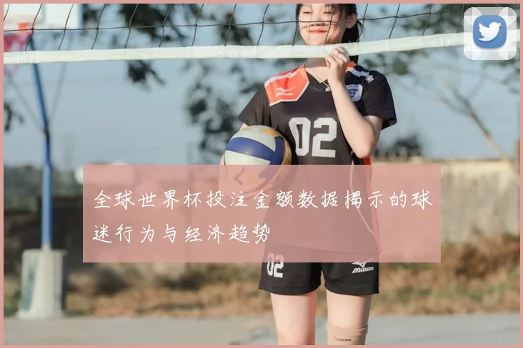 全球世界杯投注金额数据揭示的球迷行为与经济趋势