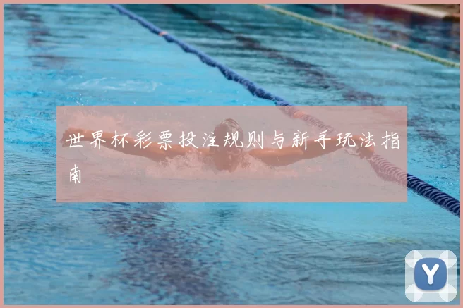世界杯彩票投注规则与新手玩法指南