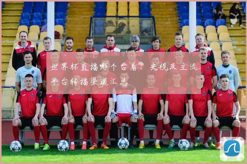 世界杯直播哪个台看?央视及主流平台转播渠道汇总