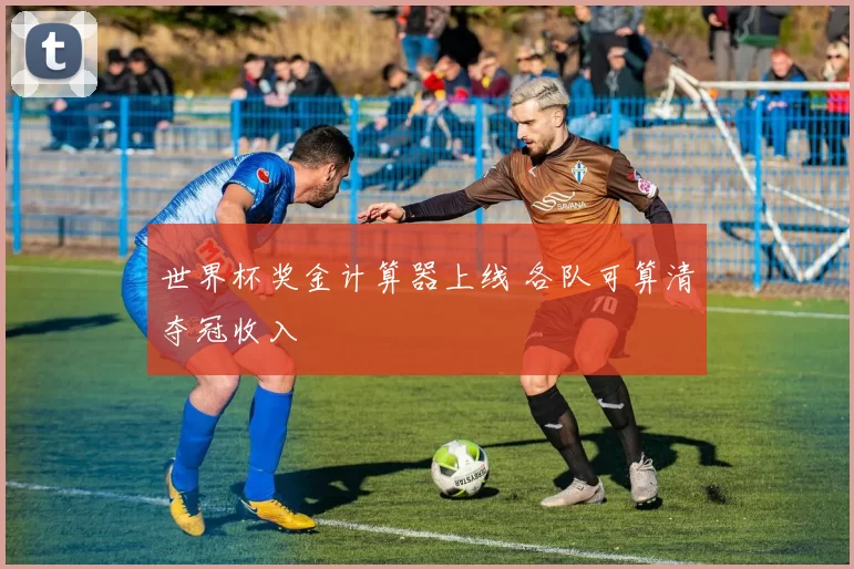 世界杯奖金计算器上线 各队可算清夺冠收入