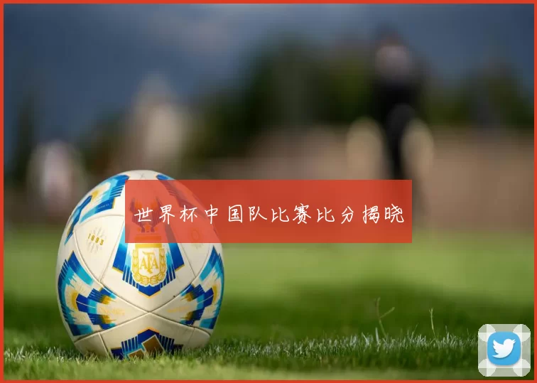 世界杯中国队比赛比分揭晓