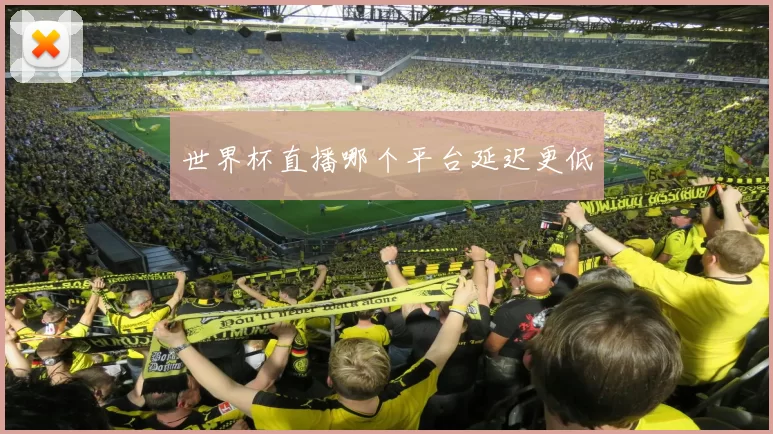 世界杯直播哪个平台延迟更低