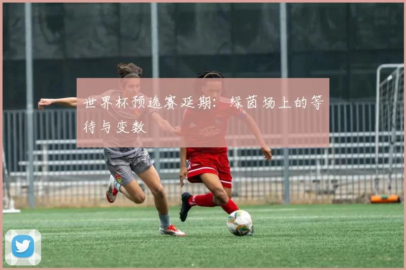 世界杯预选赛延期：绿茵场上的等待与变数