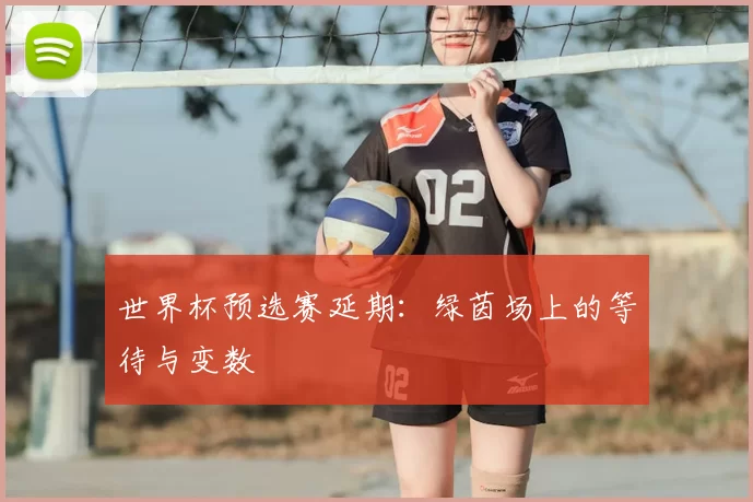 世界杯预选赛延期:绿茵场上的等待与变数