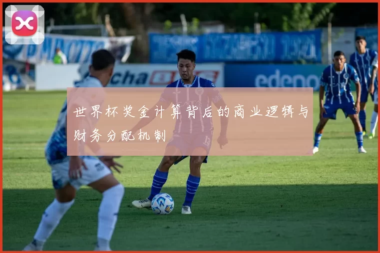 世界杯奖金计算背后的商业逻辑与财务分配机制
