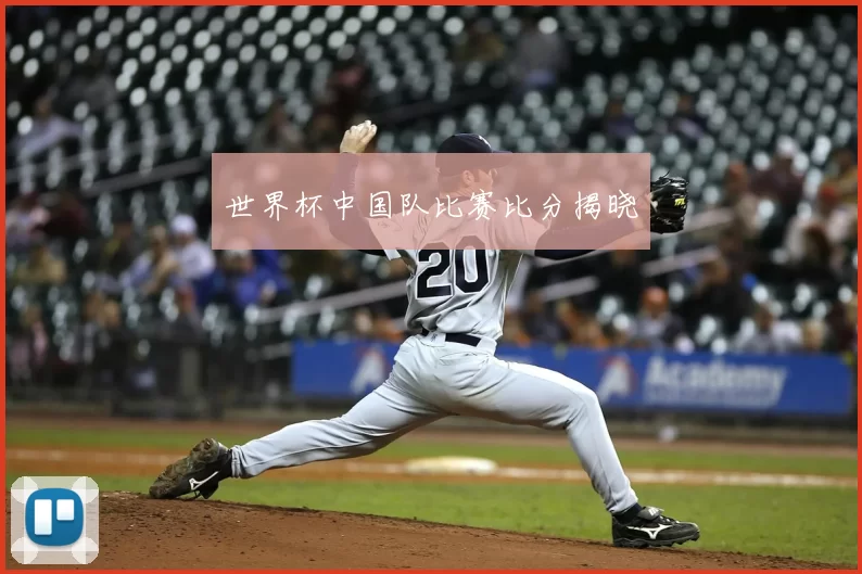 世界杯中国队比赛比分揭晓