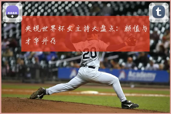 央视世界杯女主持大盘点：颜值与才华并存