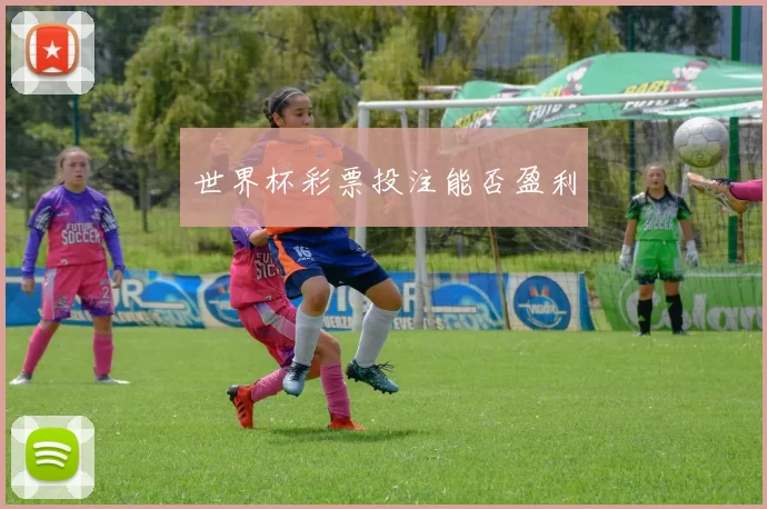 世界杯彩票投注能否盈利