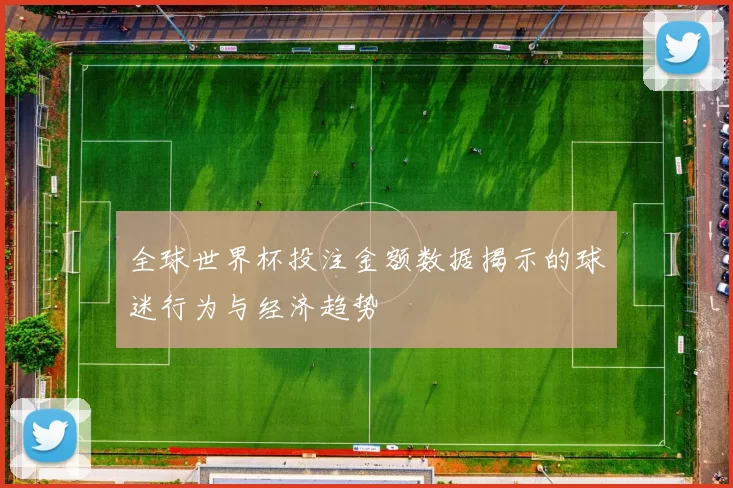 全球世界杯投注金额数据揭示的球迷行为与经济趋势